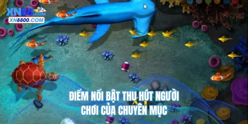 Điểm nổi bật thu hút người chơi của chuyên mục